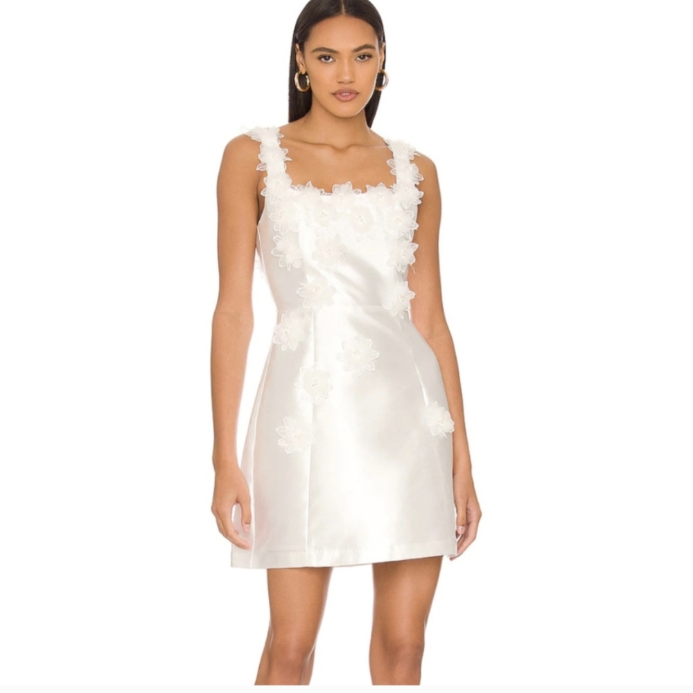 Elliatt Elder Dress Size Large- In good used condition